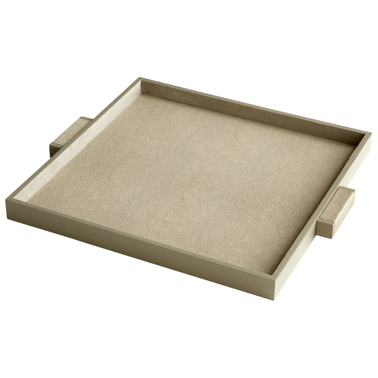 Cyan Design Brooklyn Tray in Shagreen - Large 06010