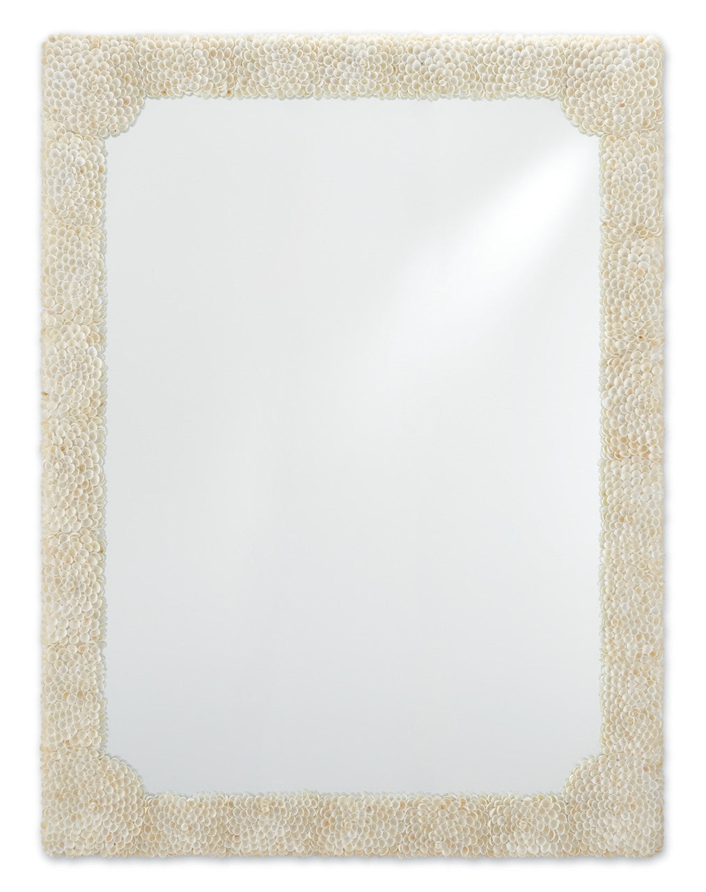 Currey & Co. Leena Large Mirror 1000-0021