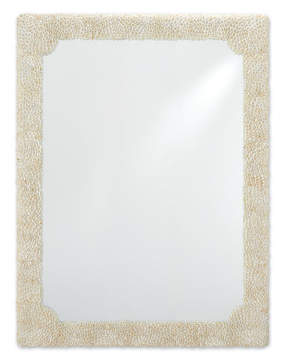 Currey & Co. Leena Large Mirror 1000-0021