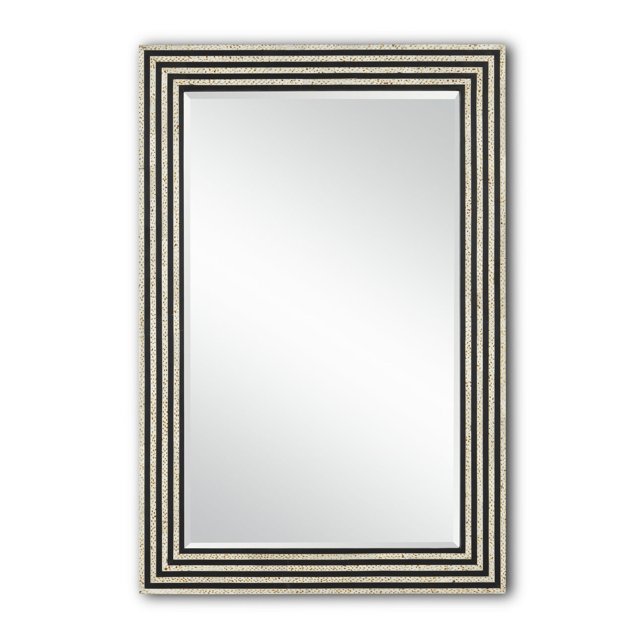 Currey & Co. Taurus Rectangular Mirror 1000-0120