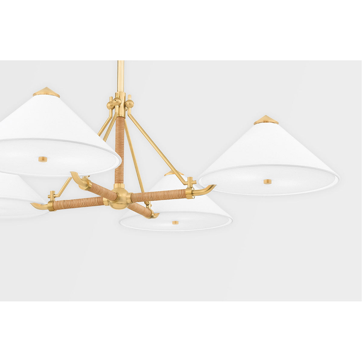 Hudson Valley Lighting Williamsburg Chandelier in Aged Brass 1046-AGB