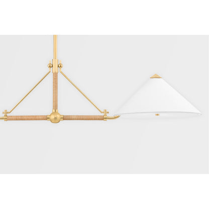 Hudson Valley Lighting Williamsburg Linear in Aged Brass 1057-AGB