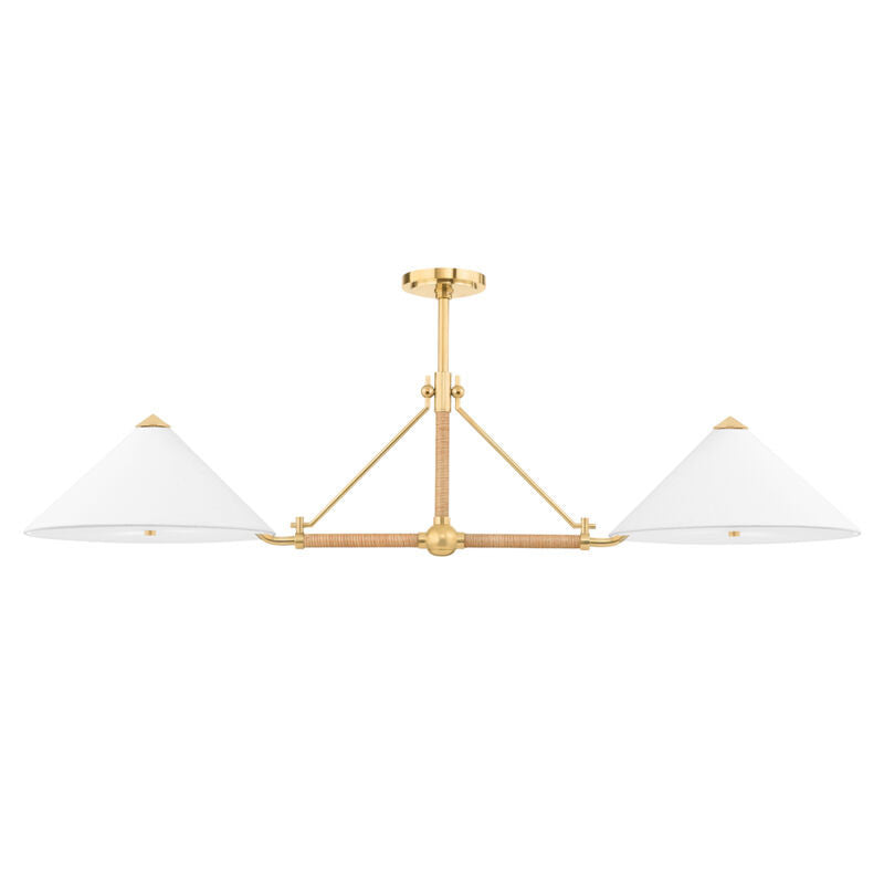 Hudson Valley Lighting Williamsburg Linear in Aged Brass 1057-AGB