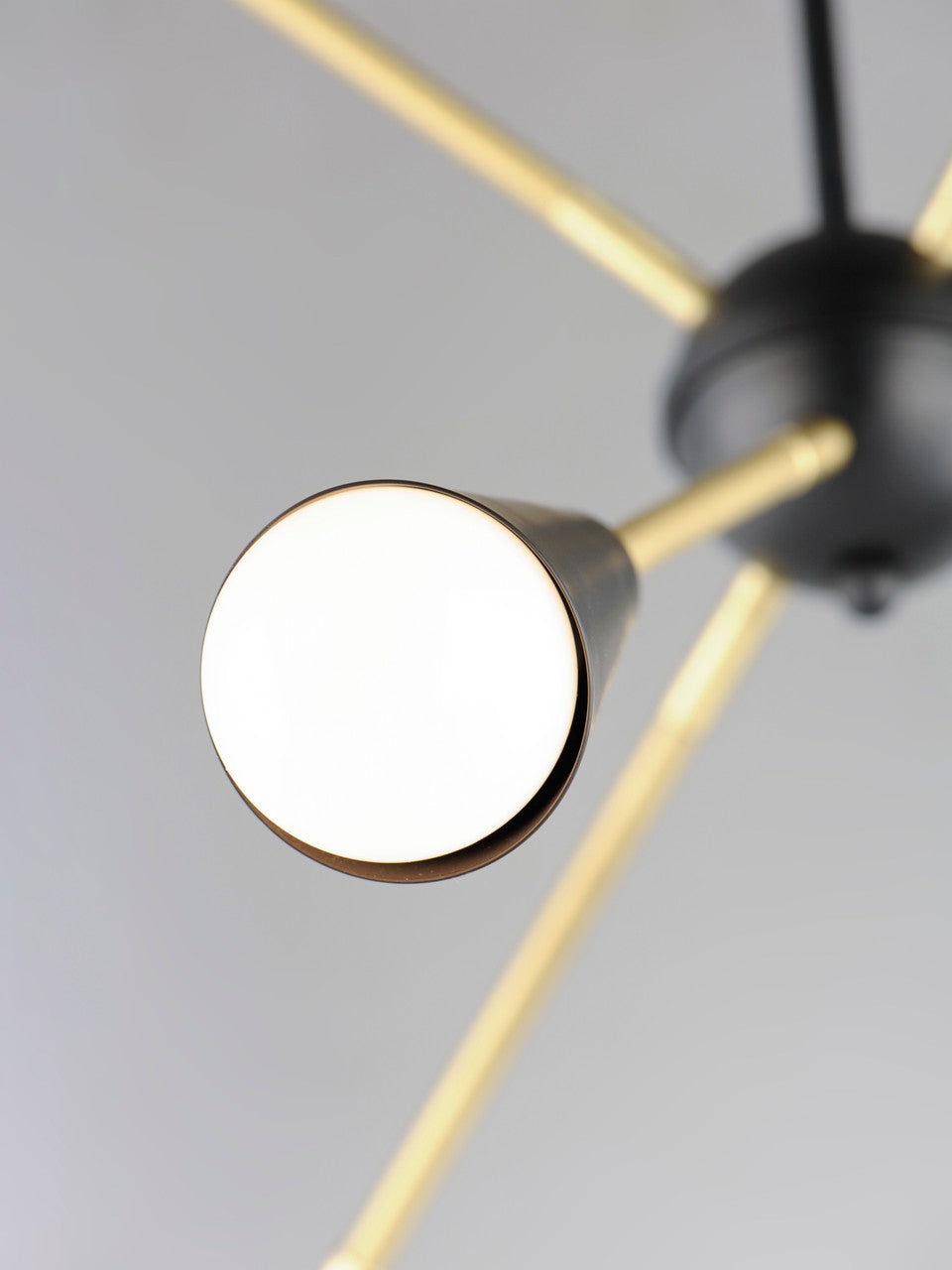 Maxim Lovell 6-Light Pendant in Black / Satin Brass 11266BKSBR