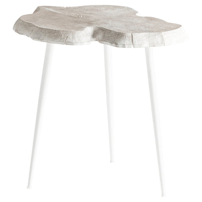 Cyan Design Palmer Side Table 11341