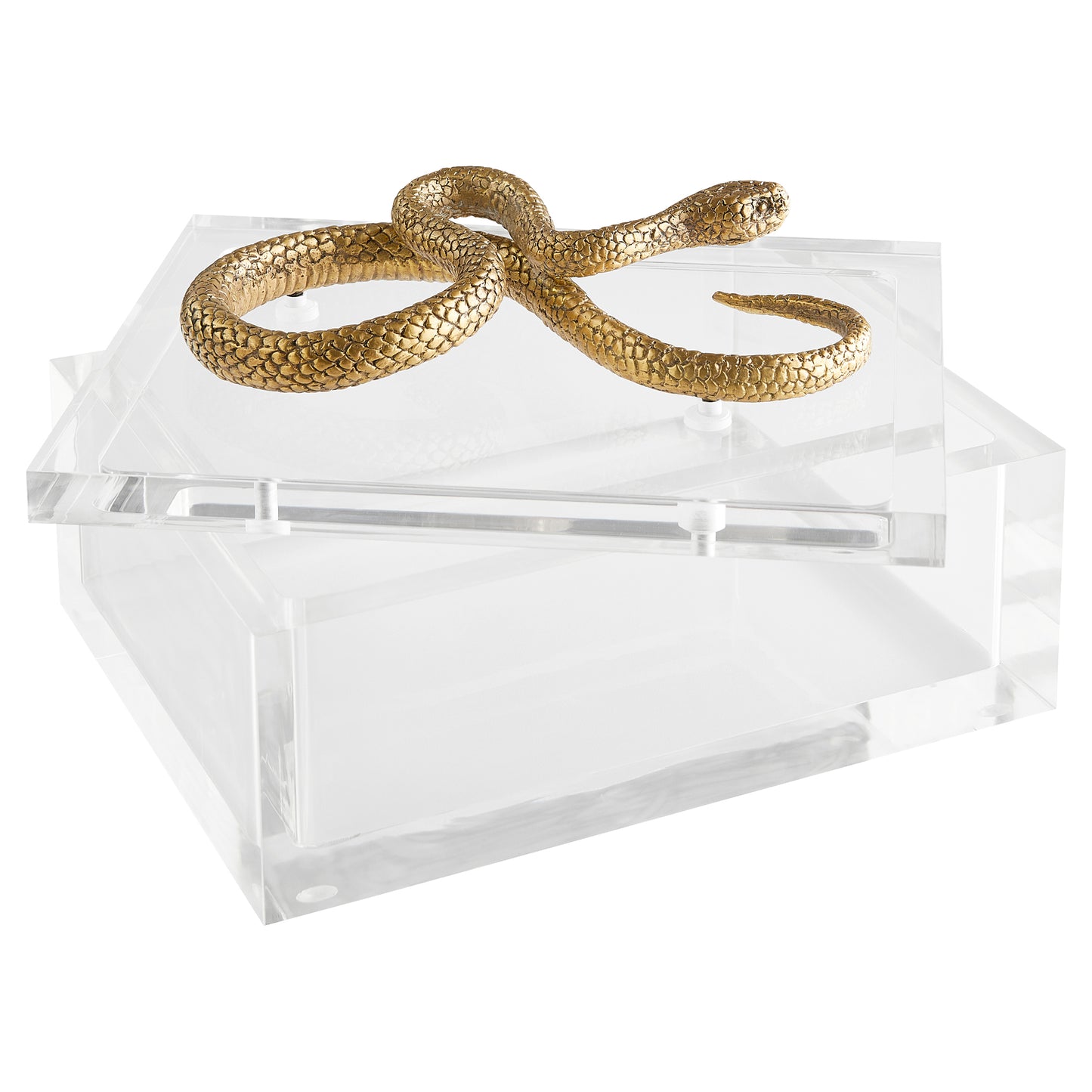 Cyan Design Snake Boxin Clear in Brass 11763