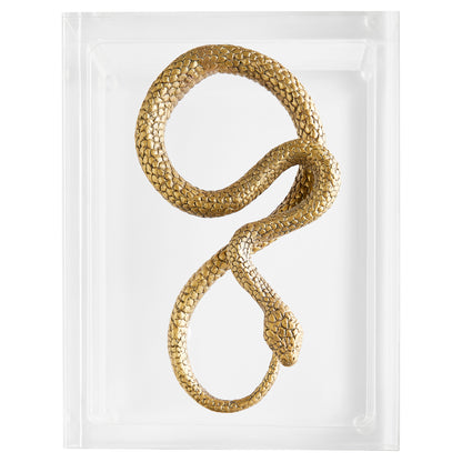 Cyan Design Snake Boxin Clear in Brass 11763