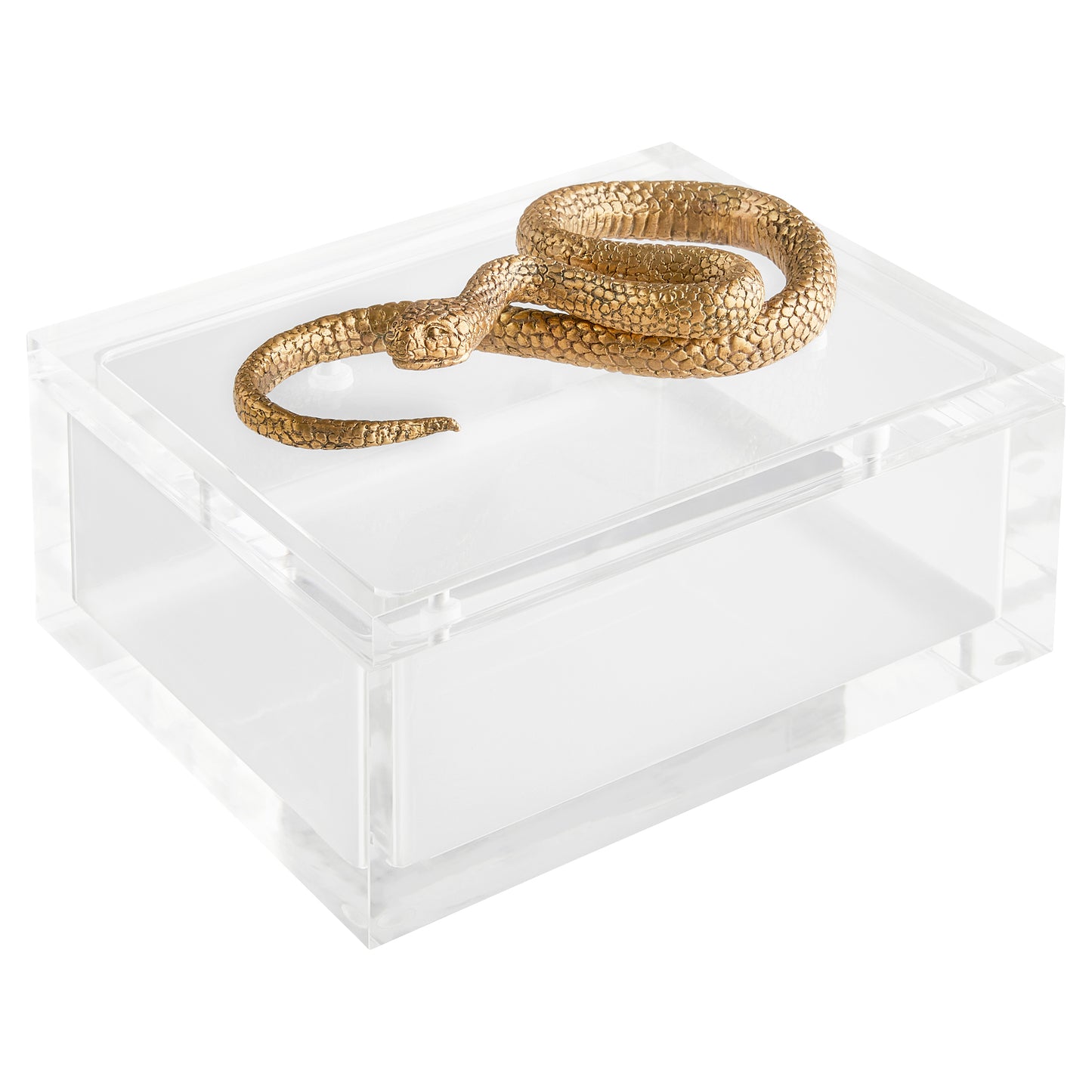 Cyan Design Snake Boxin Clear in Brass 11763