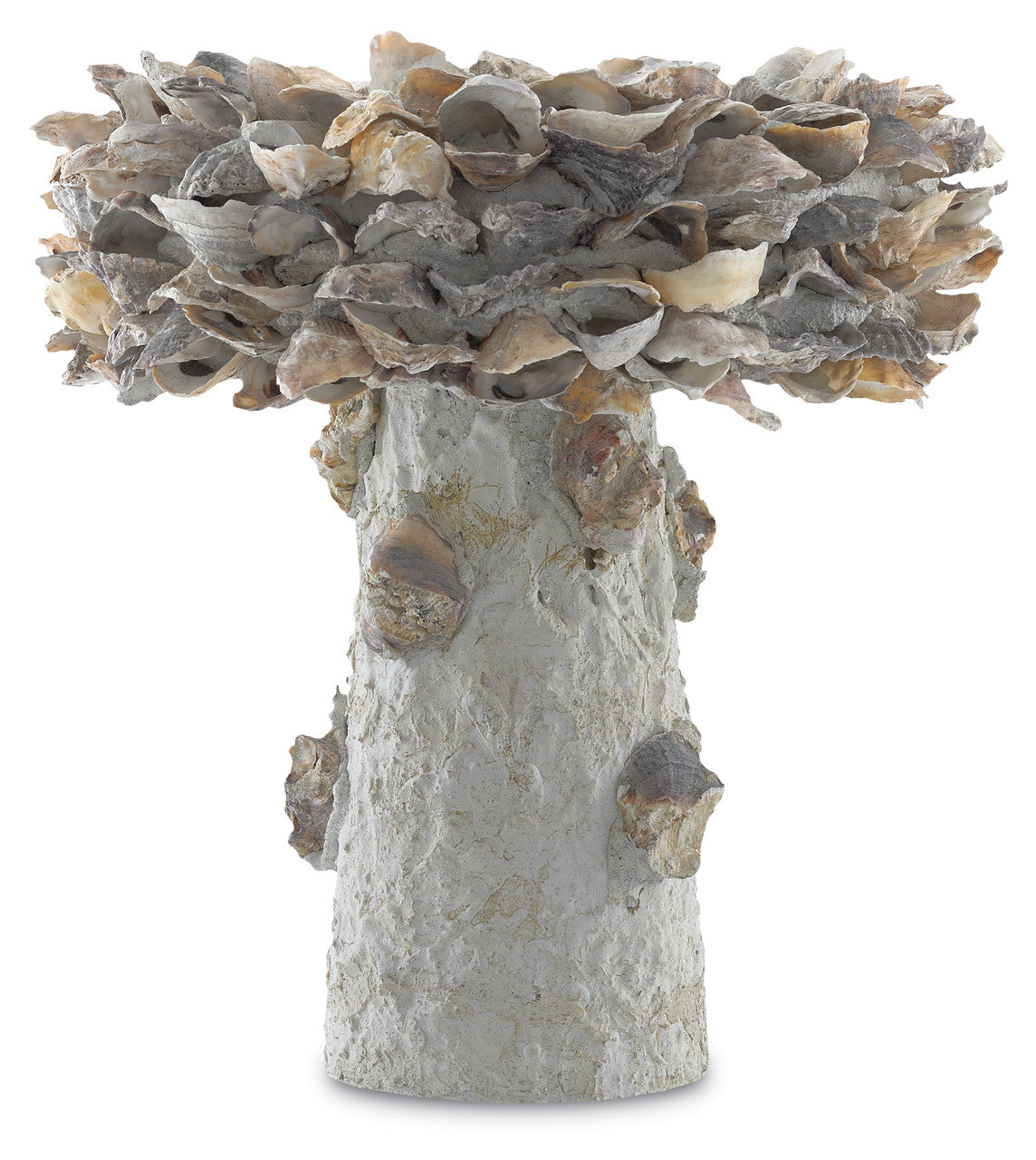 Currey & Co. Oyster Shell Small Bird Bath 1200-0052