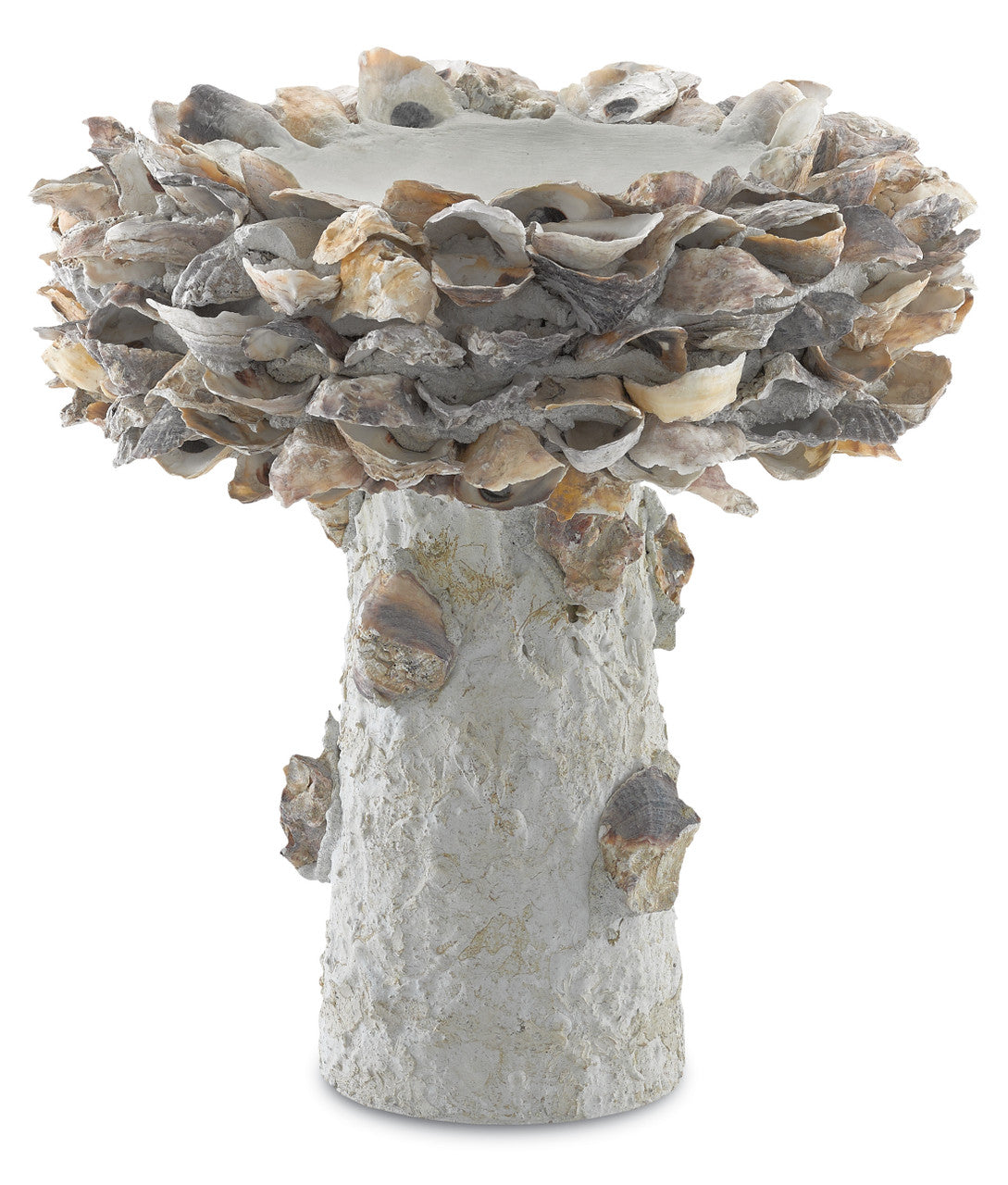 Currey & Co. Oyster Shell Small Bird Bath 1200-0052