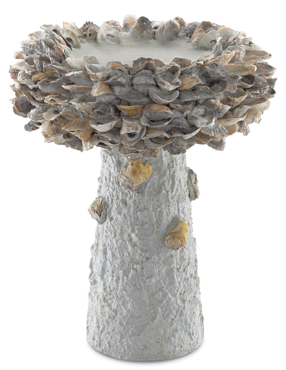 Currey & Co. Oyster Shell Medium Bird Bath 1200-0053