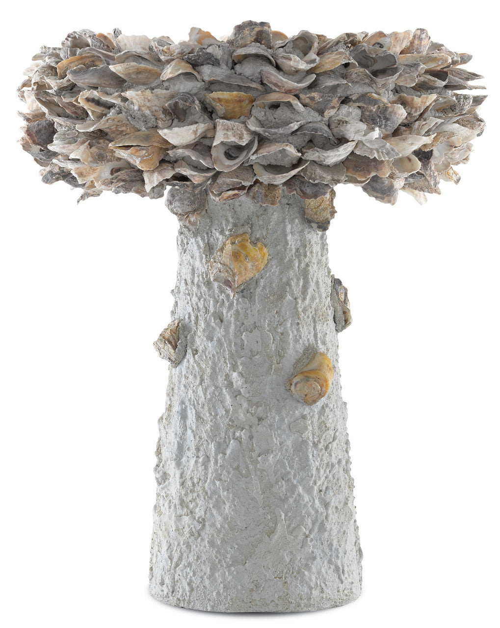 Currey & Co. Oyster Shell Medium Bird Bath 1200-0053