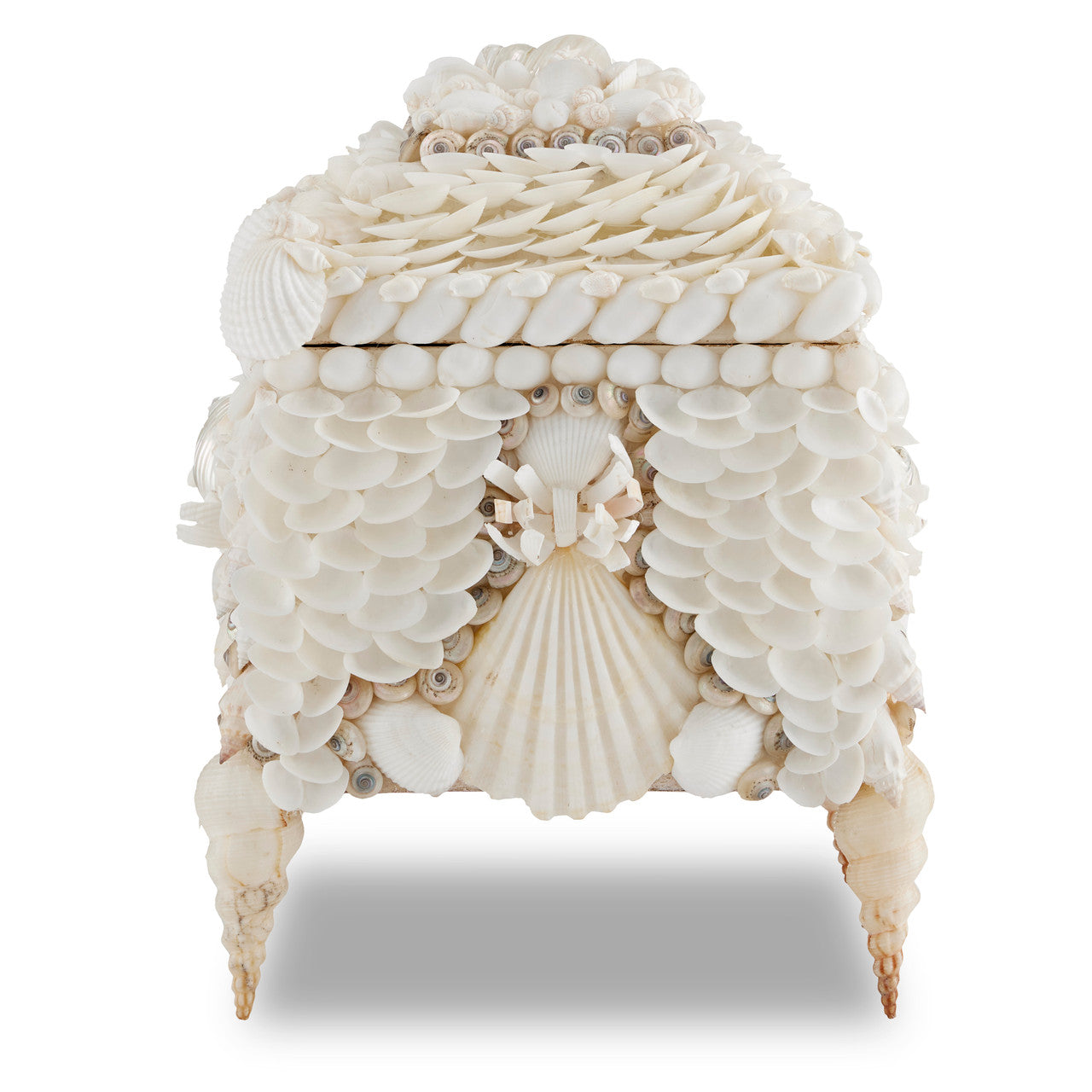 Currey & Co. Boardwalk White Shell Jewelry Box 1200-0612