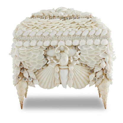 Currey & Co. Boardwalk White Shell Jewelry Box 1200-0612