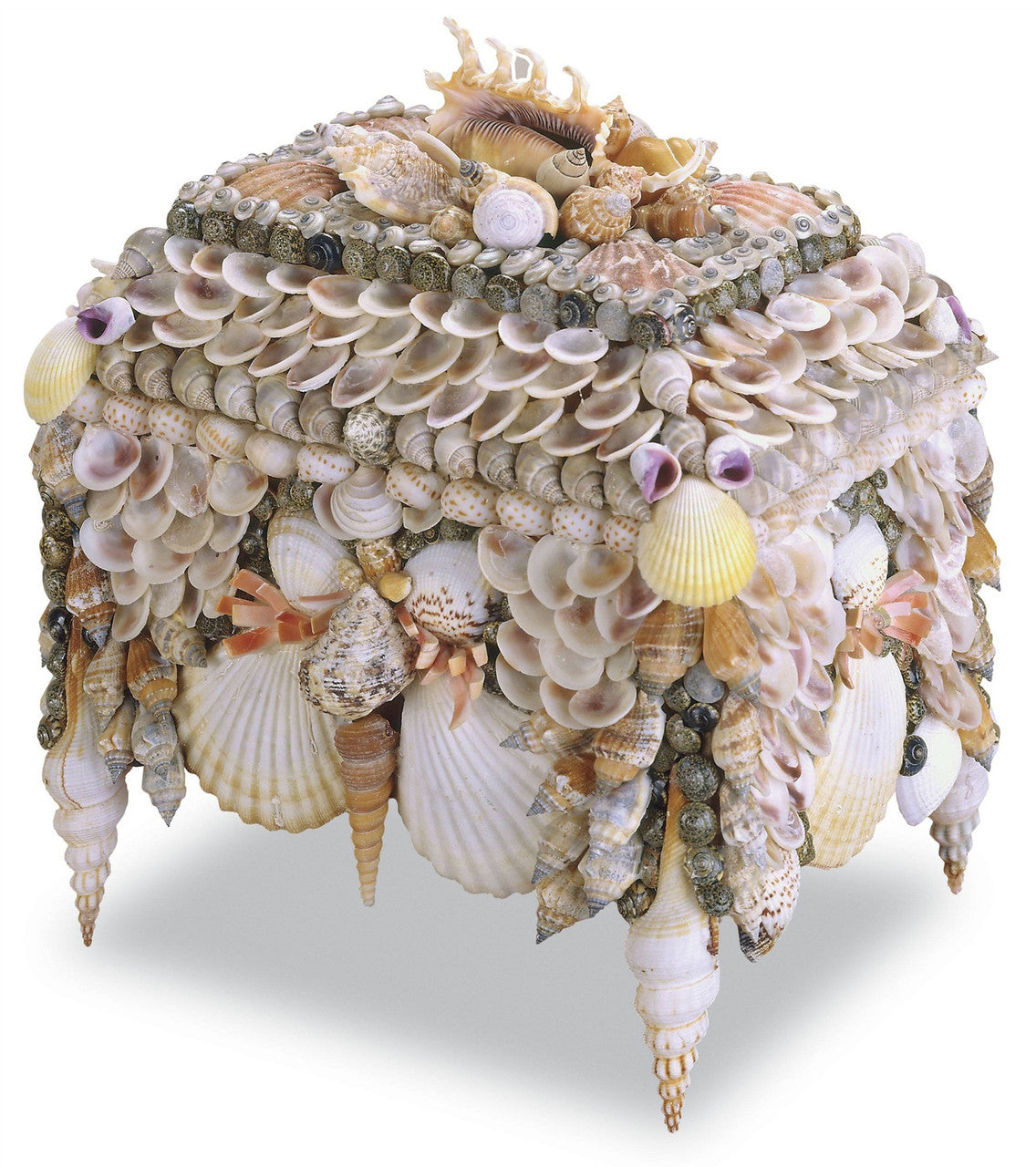 Currey & Co. Boardwalk Shell Jewelry Box 1251