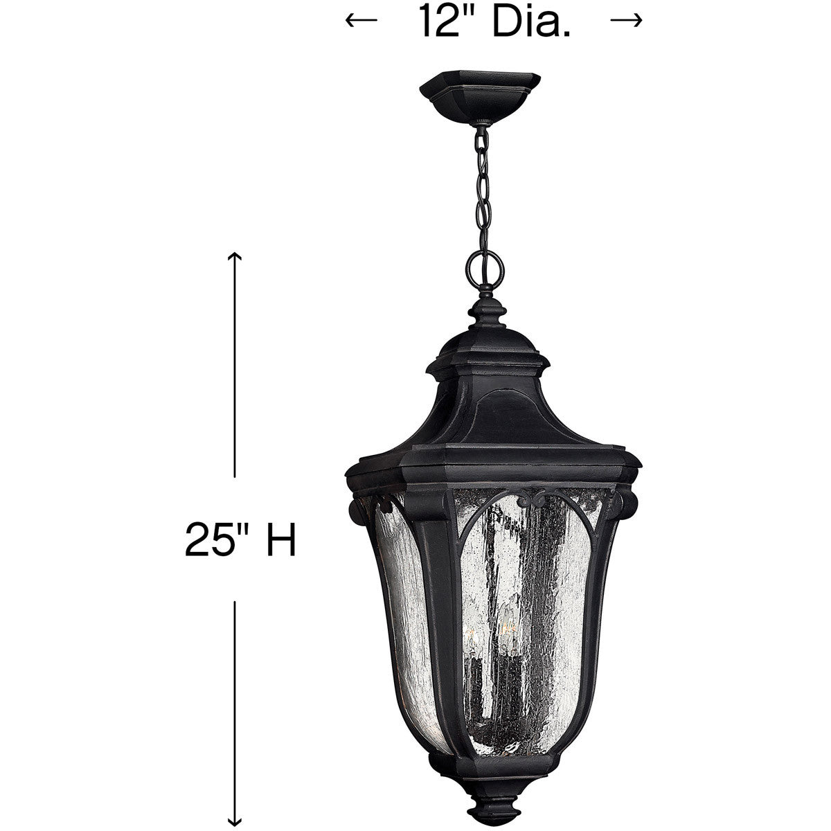 Hinkley Lighting Trafalgar Large Hanging Lantern Museum Black 1312MB