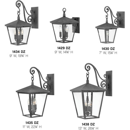 Hinkley Lighting Trellis Medium Wall Mount Lantern Aged Zinc 1434DZ