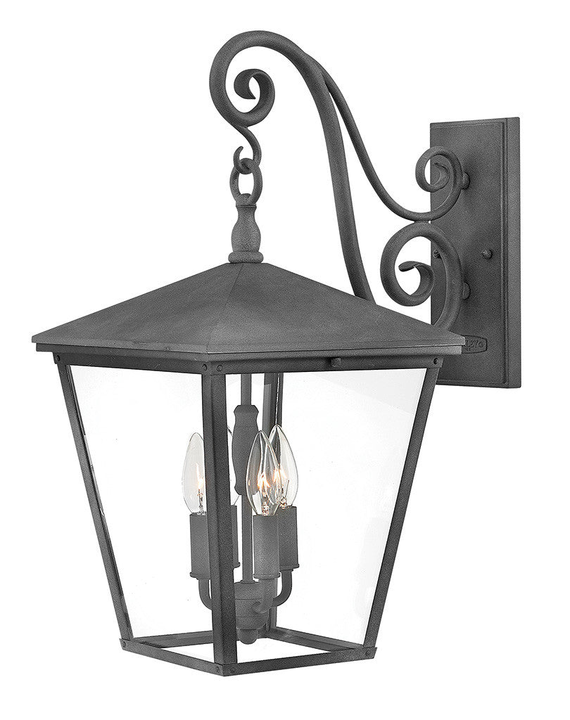 Hinkley Lighting Trellis Large Wall Mount Lantern Aged Zinc LED Bulb(s) Included 1435DZ-LL