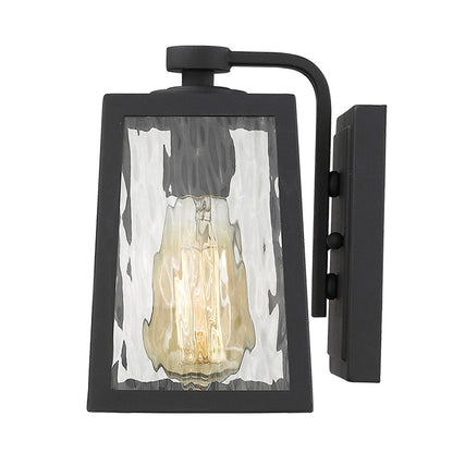 Acclaim Lighting Hirche 1-Light Matte Black Wall Light in Matte Black 1612BK