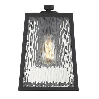 Acclaim Lighting Hirche 1-Light Matte Black Wall Light in Matte Black 1612BK