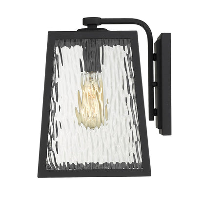 Acclaim Lighting Hirche 1-Light Matte Black Wall Light in Matte Black 1612BK