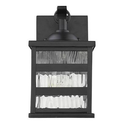 Acclaim Lighting Morris 1-Light Matte Black Wall Light  in Matte Black 1672BK