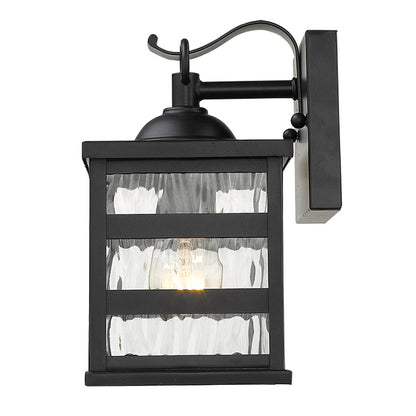 Acclaim Lighting Morris 1-Light Matte Black Wall Light  in Matte Black 1672BK