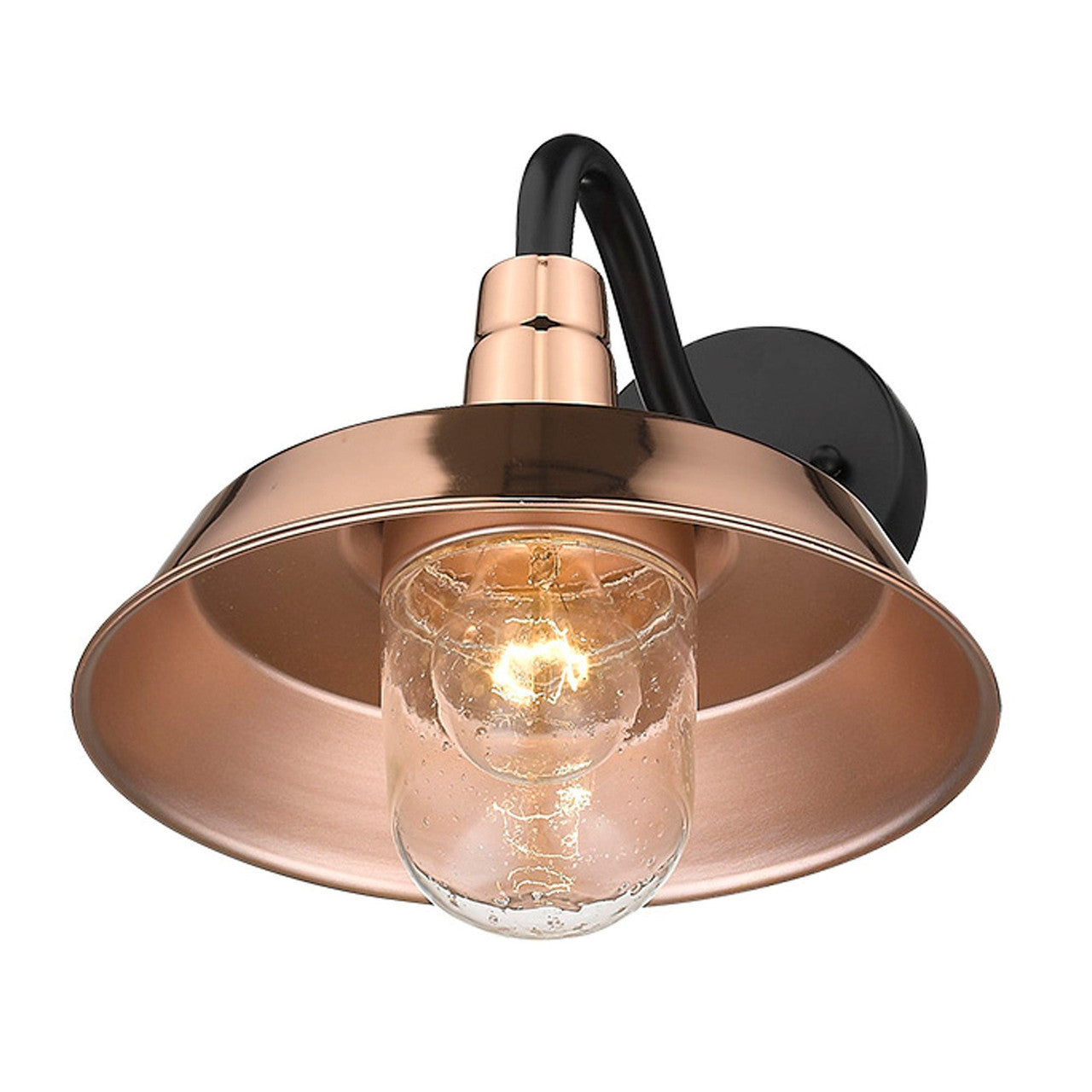 Acclaim Lighting Burry 1-Light Copper Wall Light in Copper 1742CO