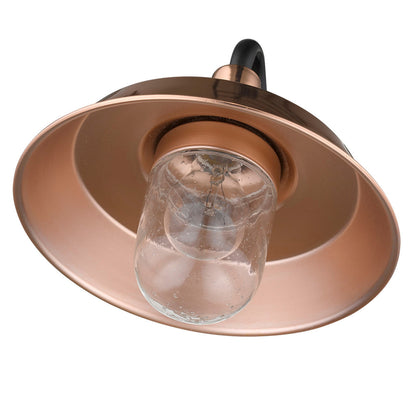 Acclaim Lighting Burry 1-Light Copper Wall Light in Copper 1742CO