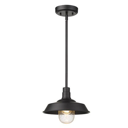 Acclaim Lighting Burry 1-Light Matte Black Convertible Pendant in Matte Black 1736BK