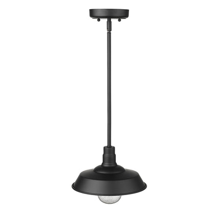 Acclaim Lighting Burry 1-Light Matte Black Convertible Pendant in Matte Black 1736BK