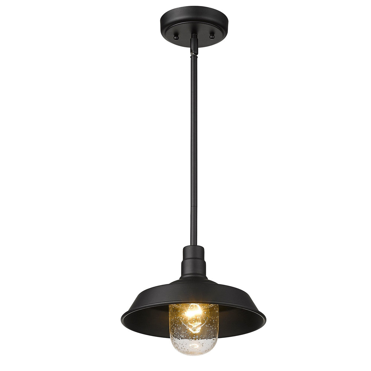 Acclaim Lighting Burry 1-Light Matte Black Convertible Pendant in Matte Black 1736BK