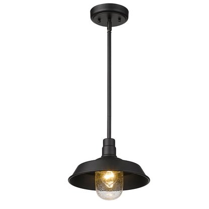 Acclaim Lighting Burry 1-Light Matte Black Convertible Pendant in Matte Black 1736BK