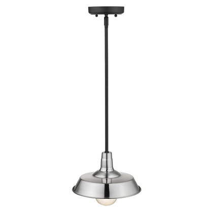 Acclaim Lighting Burry 1-Light Satin Nickel Convertible Pendant in Satin Nickel 1736SN