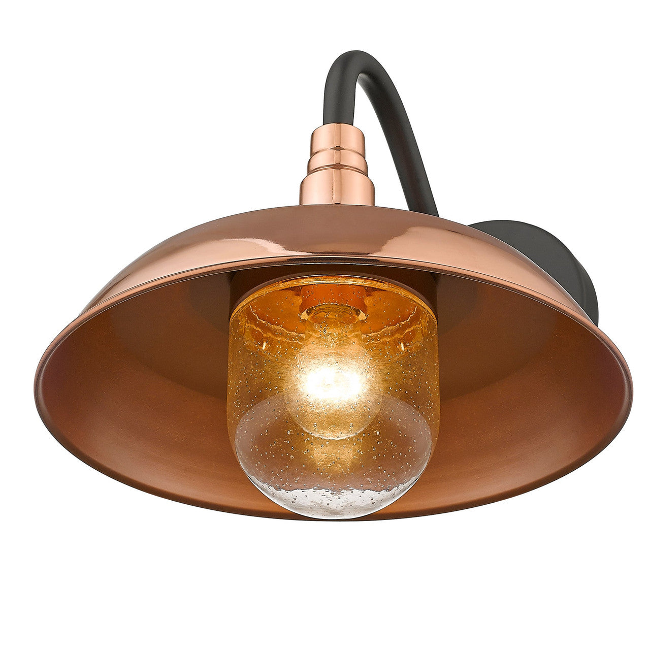 Acclaim Lighting Burry 1-Light Copper Wall Light in Copper 1742CO