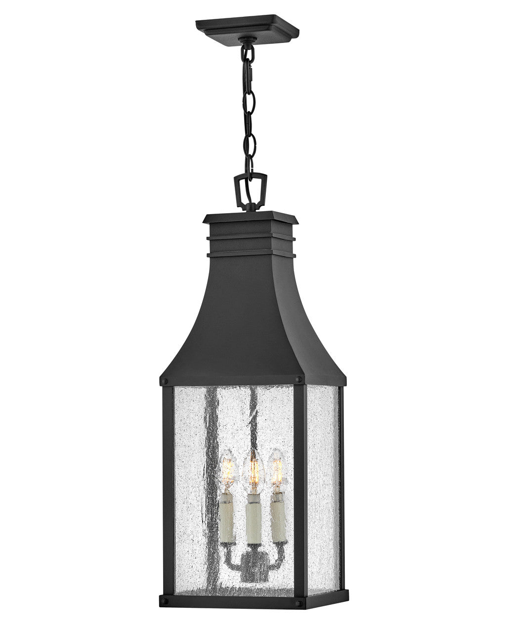 Hinkley Lighting Beacon Hill Medium Hanging Lantern in Museum Black 17462MB