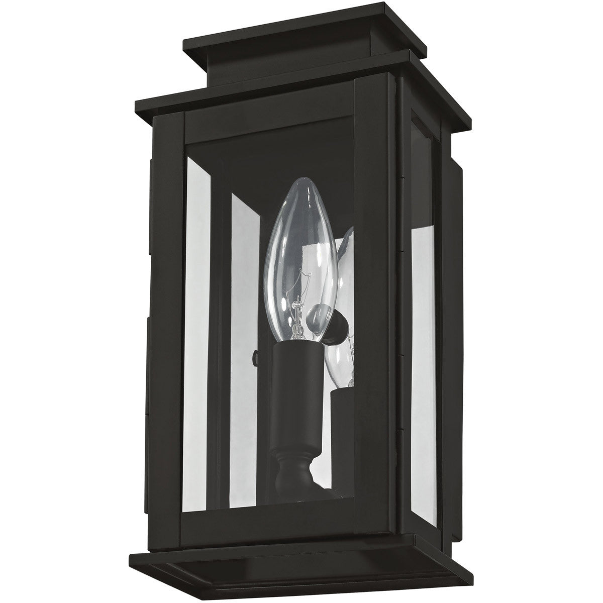 Livex Lighting Princeton Collection 1 Light Black Outdoor Wall Lantern in Black 20191-04