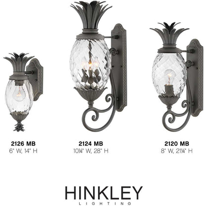 Hinkley Lighting Plantation Small Wall Mount Lantern Museum Black 2120MB