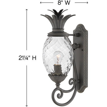 Hinkley Lighting Plantation Small Wall Mount Lantern Museum Black 2120MB