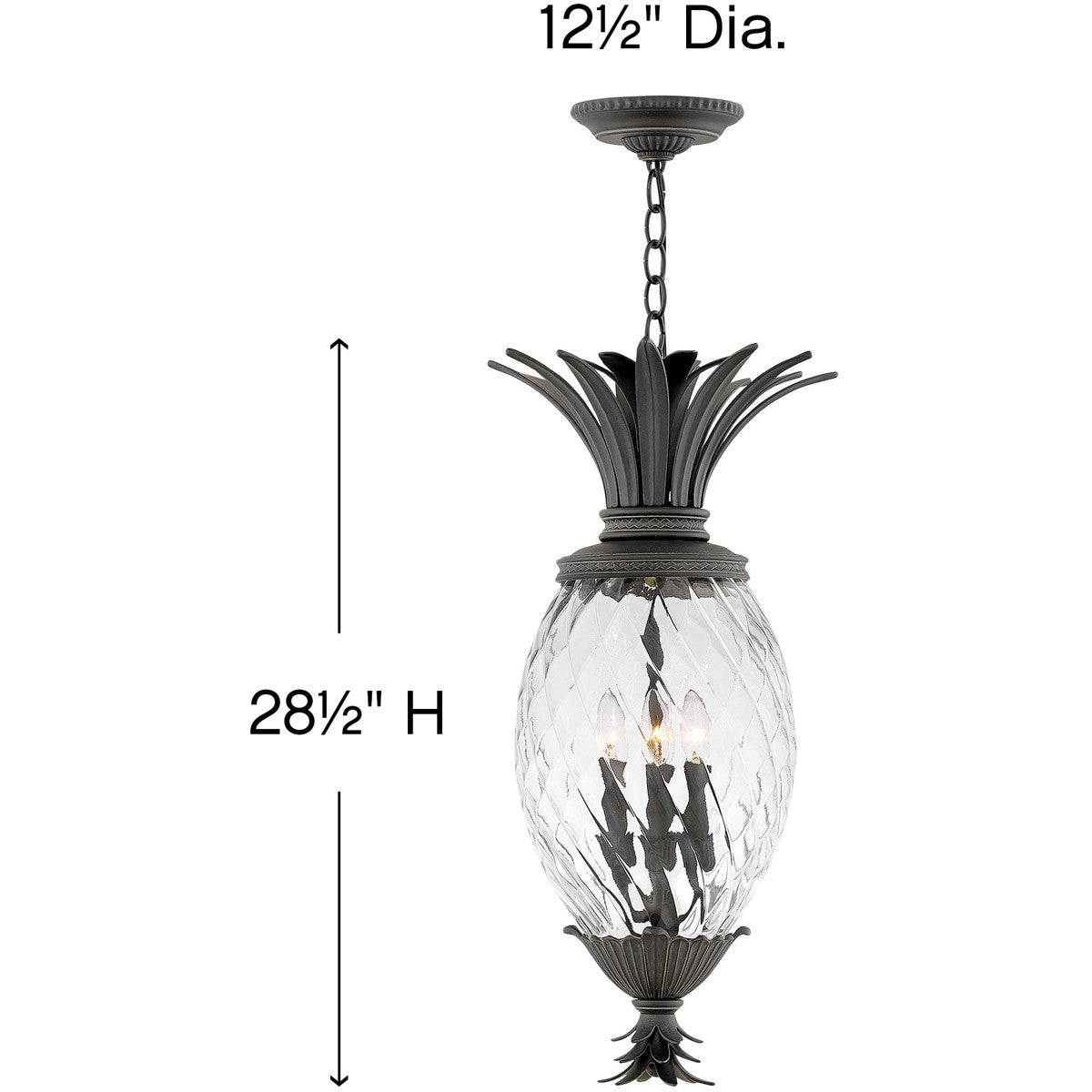 Hinkley Lighting Plantation Medium Hanging Lantern Museum Black 2122MB