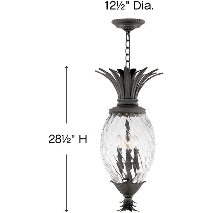 Hinkley Lighting Plantation Medium Hanging Lantern Museum Black 2122MB