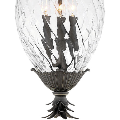 Hinkley Lighting Plantation Medium Hanging Lantern Museum Black 2122MB