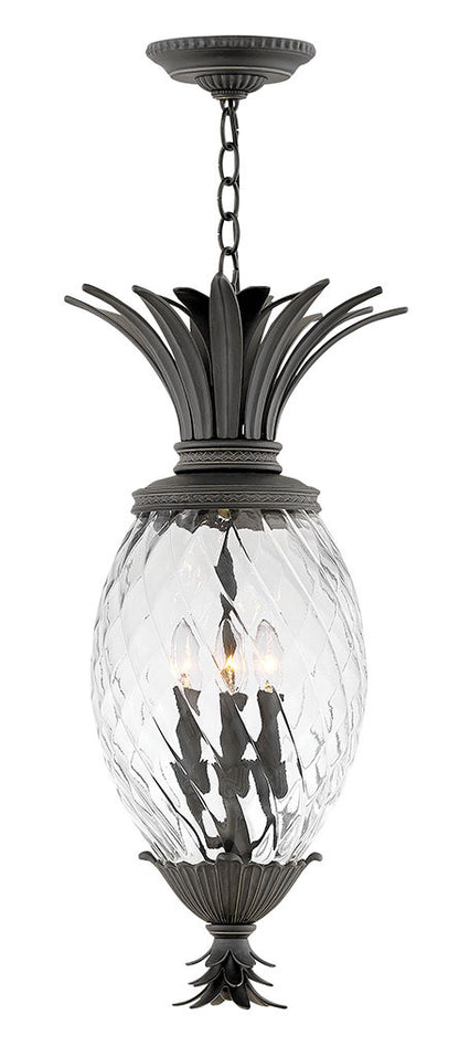 Hinkley Lighting Plantation Medium Hanging Lantern Museum Black 2122MB