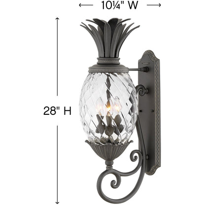 Hinkley Lighting Plantation Medium Wall Mount Lantern Museum Black 2124MB