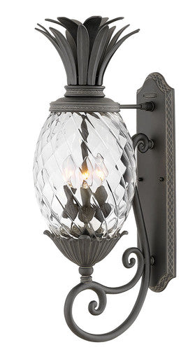 Hinkley Lighting Plantation Medium Wall Mount Lantern Museum Black 2124MB