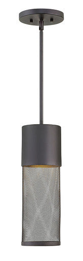 Hinkley Lighting Aria Medium Hanging Lantern Black Integrated LED Bulb(s) 2302BK-LED