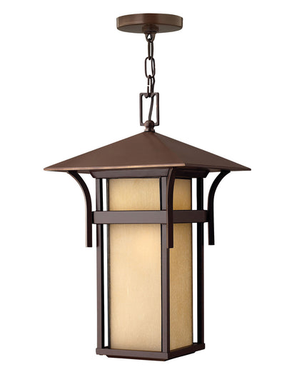 Hinkley Lighting Harbor Large Hanging Lantern 12v Anchor Bronze Low Voltage 12V LED Bulb(s) Included 2572AR-LV