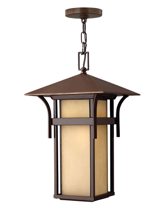 Hinkley Lighting Harbor Large Hanging Lantern 12v Anchor Bronze Low Voltage 12V LED Bulb(s) Included 2572AR-LV