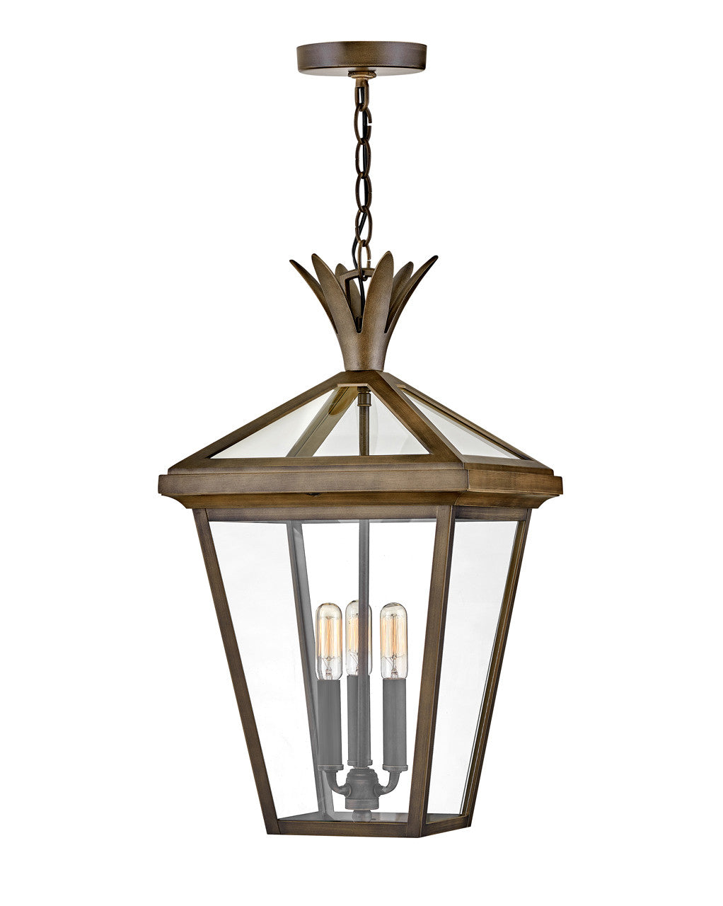 Hinkley Lighting Palma Large Hanging Lantern Burnished Bronze 26092BU