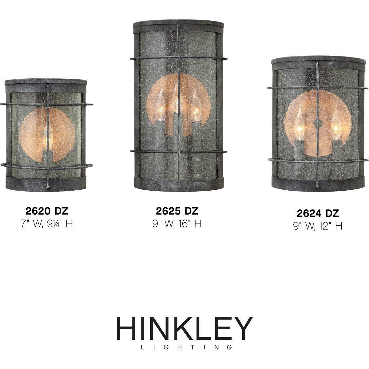 Hinkley Lighting Newport Small Wall Mount Lantern Aged Zinc 2620DZ